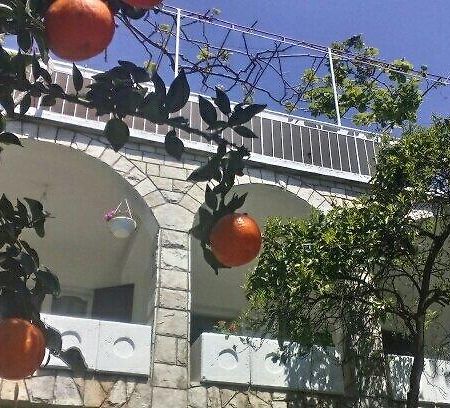 House Orange Apartments Herceg Novi Exterior photo